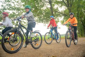 Kinder fahren auf Fahrrädern durch den Wald