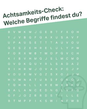 Achtsamkeits-Check: Welche Begriffe findest du?