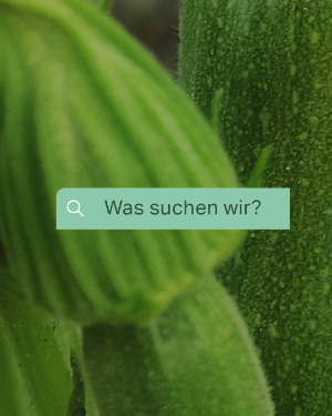 Foodquiz Zucchini.