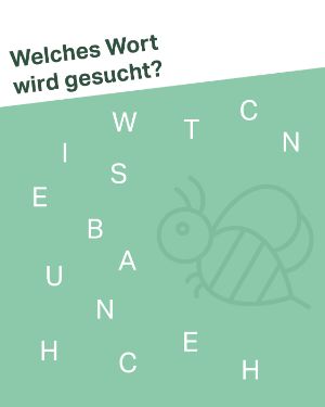 Quiz Scrambled Word: Welches Wort wird gesucht? EIWTCNSBAUNHCEH