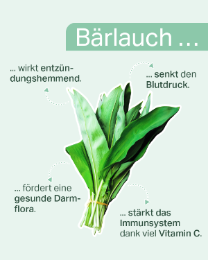 foodfact "Bärlauch: wirkt entzündungshemmend / senkt den Blutdruck / fördert eine gesunde Darmflora / stärkt das Immunsystem dank viel Vitamin C.
