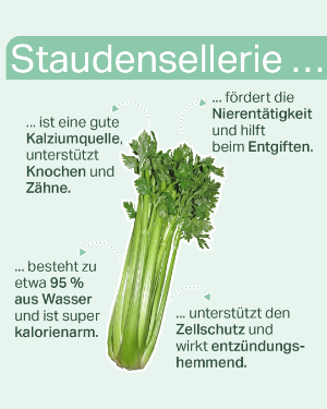 Staudensellerie und was sind seine gesundheitlichen Vorteile. 