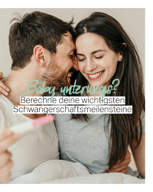 Schwangerschaftsrechner.