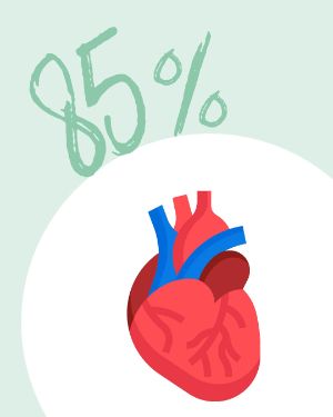 Zahl des Monats: 85 % ... .