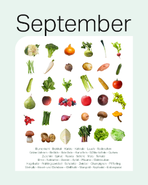 Saisonkalender September – Blumenkohl, Brokkoli, Kürbis, Kohlrabi, Lauch, Radieschen, Grüne Bohnen, Rettich, Rote BEte, Kartofeln, Süßkartoffeln, Gurken, Zucchini, Spinat, RUcola, Sellerie, Mais, Tomate, Birne, Nektarine, Beeren, Apfel, Pflaume, Weintrauben, Hagebutte, Frühlingszwiebel, Schalotte, Zwiebel, Schalotte, Zwiebel, Champignon, Pfifferling, Steinpilz, Hasel- und Walnüsse, Weißkohl, Mangold, Kopfsalat, Eisbergsalat.
