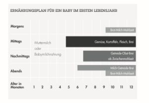 Grafik zum Ernährungsfahrplan für ein Baby im ersten Jahr.