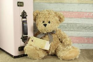 Teddy vor einem Koffer
