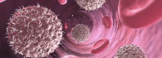 Verschiedene Zellen schwirren rum in pinker Farbe.