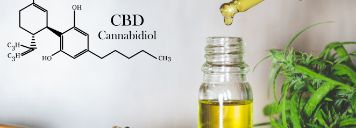 Cannabis-Öl wird mit einer Pipette in eine Flasche geträufelt.